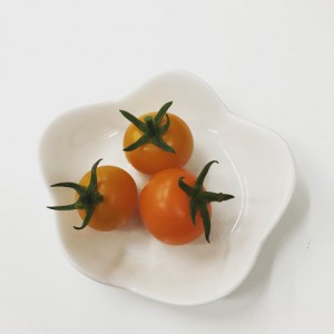 tomato皿